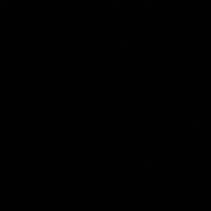 Meet your Posher, Hector